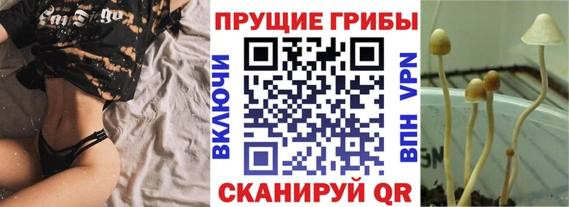 Псилоцибиновые грибы MAGIC MUSHROOMS  mega как войти  Уяр  купить  сайты 